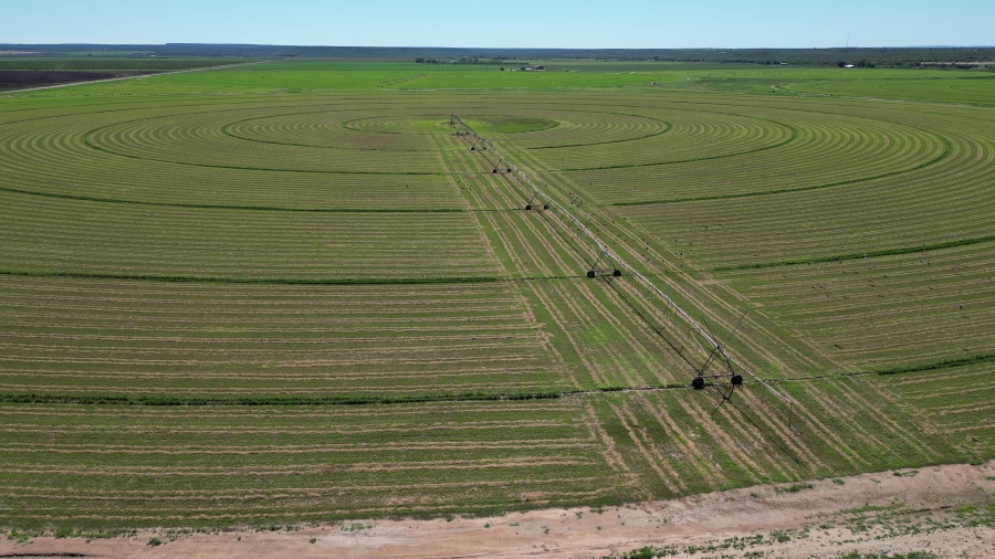 0 Bedroom Property for Sale in Douglas Rural Northern Cape